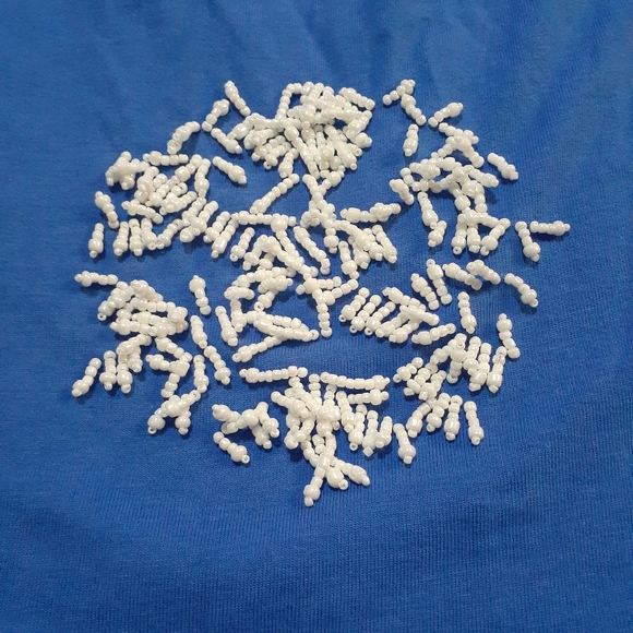 QVC Quaker Factory by Jeanne Bice Women's Beaded Snowflake Top - Picture 2 of 6